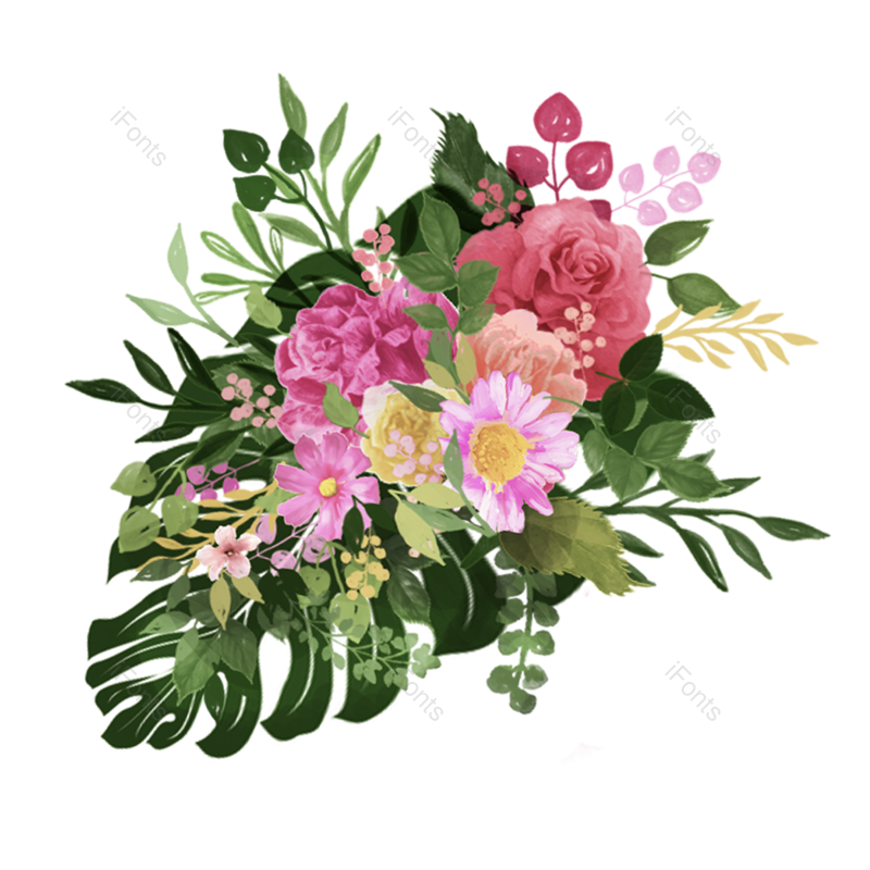 叶子图片,花卉元素,粉红PNG,白色免抠素材